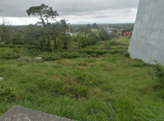 Tagaytay Lot for Sale along Tagaytay Nasugbu Highway